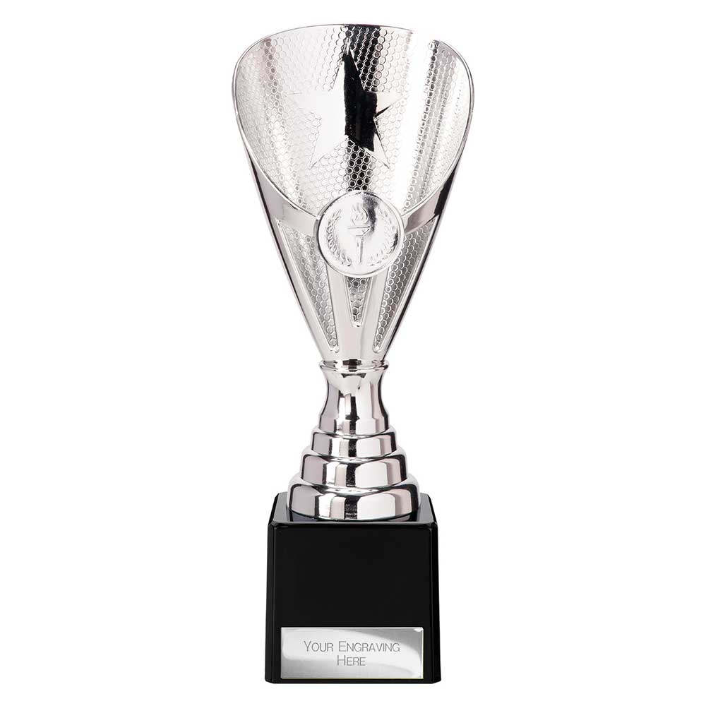 Rising Stars Premium Plastic Trophy Silver 205mm