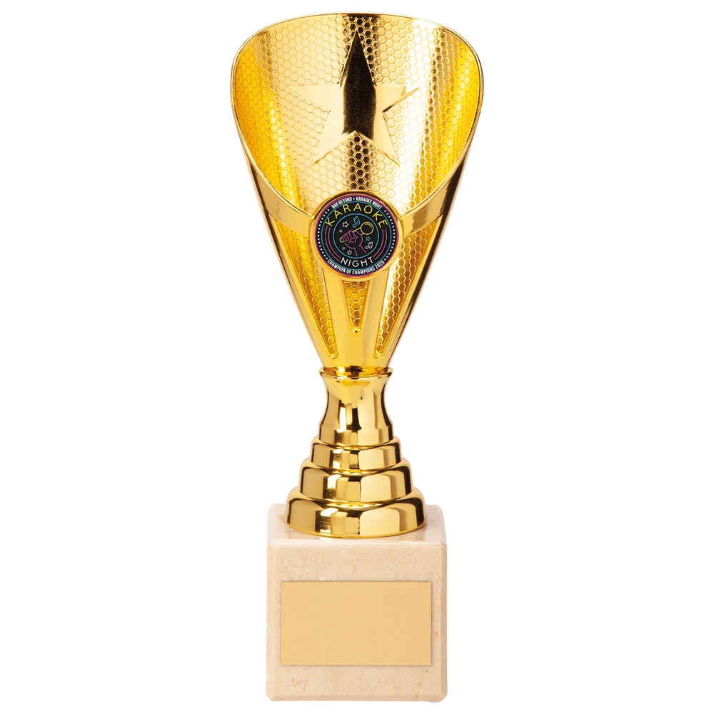 Rising Stars Premium Plastic Trophy Gold 205mm