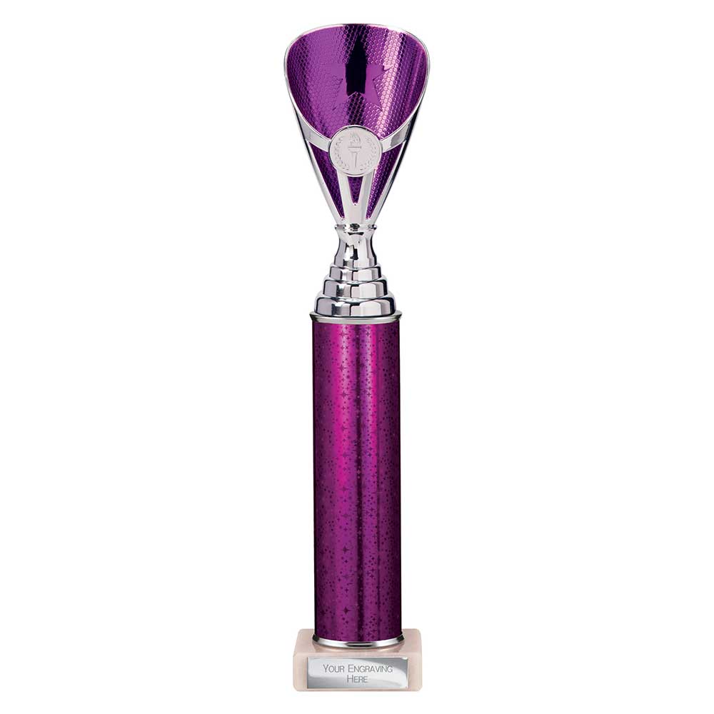 Rising Stars Plastic Trophy Purple 355mm