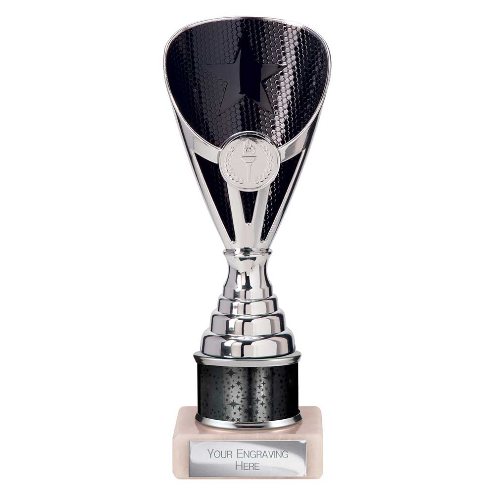 Rising Stars Plastic Trophy Black 205mm