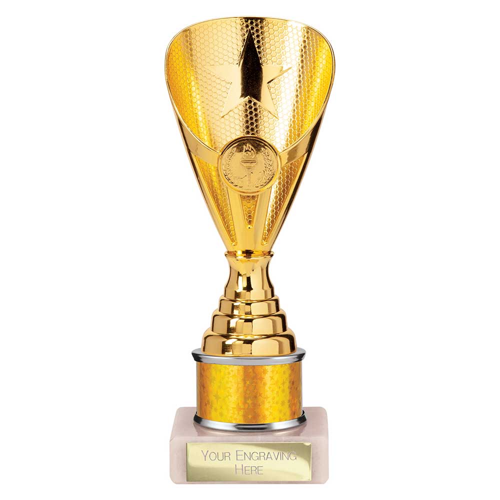 Rising Stars Plastic Trophy Gold 205mm