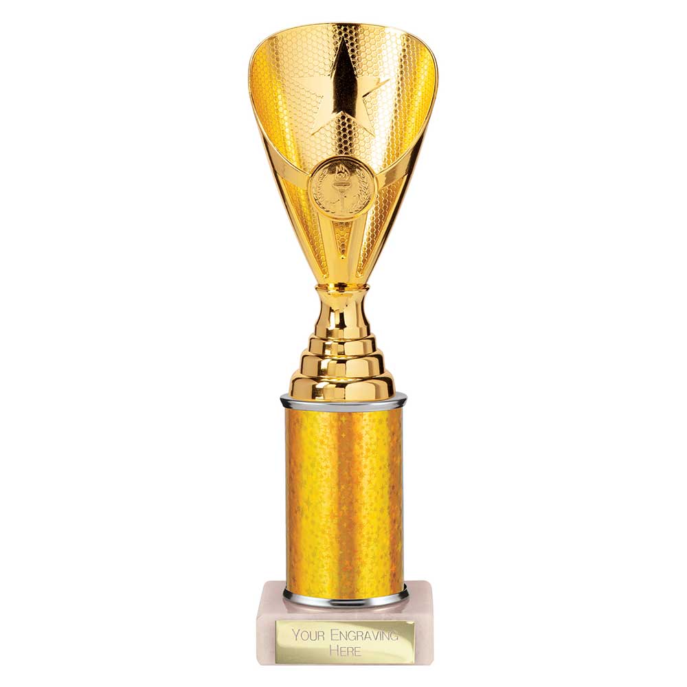 Rising Stars Plastic Trophy Gold 255mm