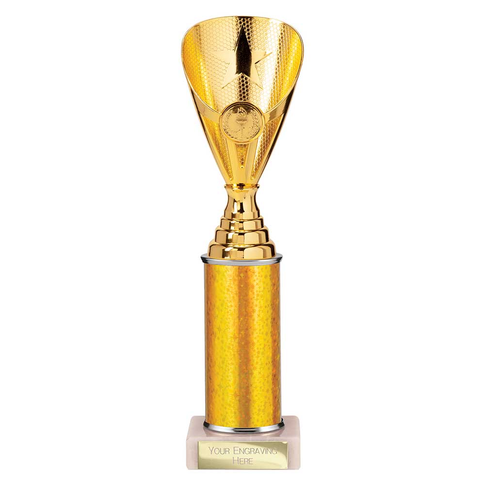 Rising Stars Plastic Trophy Gold 280mm