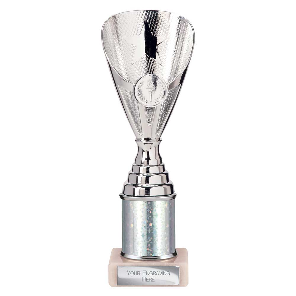 Rising Stars Plastic Trophy Silver 230mm
