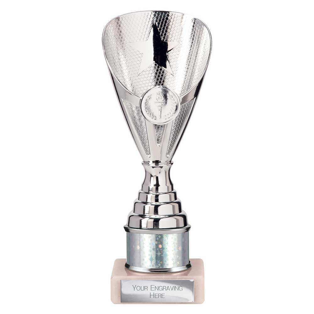 Rising Stars Plastic Trophy Silver 205mm