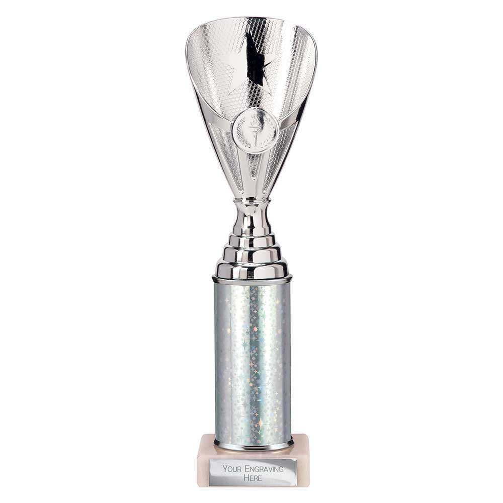 Rising Stars Plastic Trophy Silver 280mm