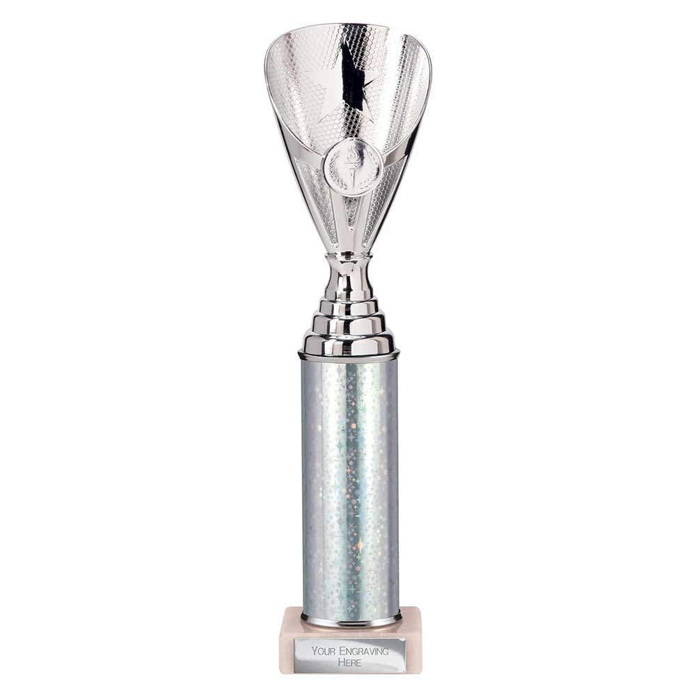 Rising Stars Plastic Trophy Silver 305mm