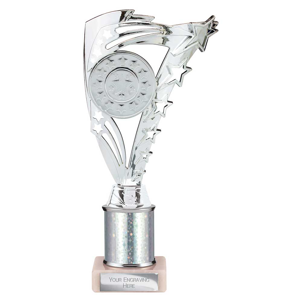 Frenzy Multisport Tube Trophy Silver 240mm