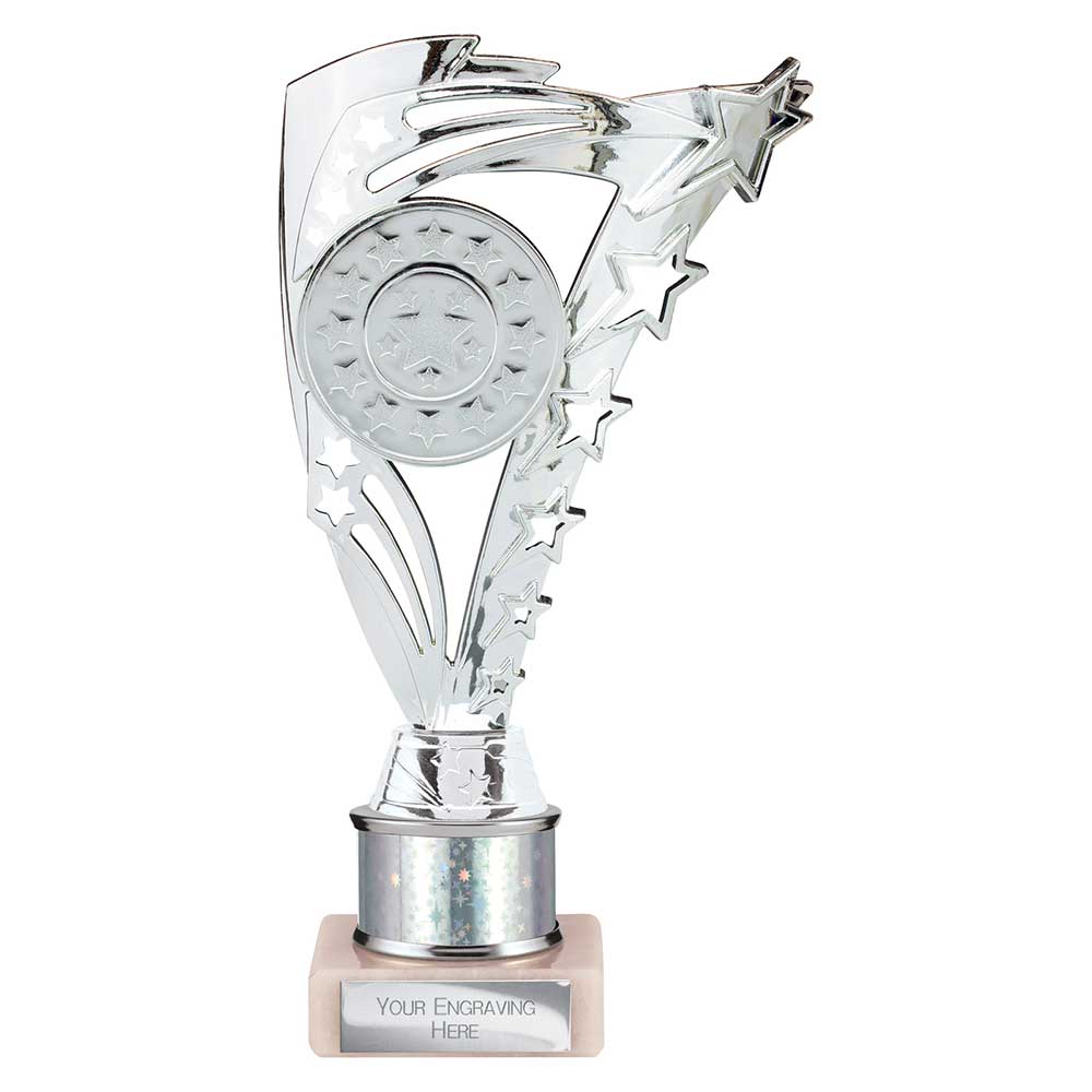 Frenzy Multisport Tube Trophy Silver 215mm