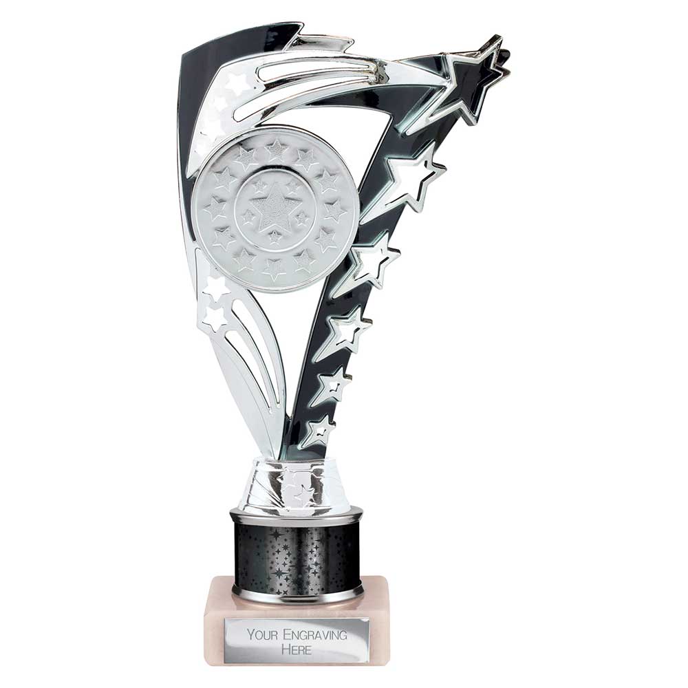 Frenzy Multisport Tube Trophy Silver & Black 215mm