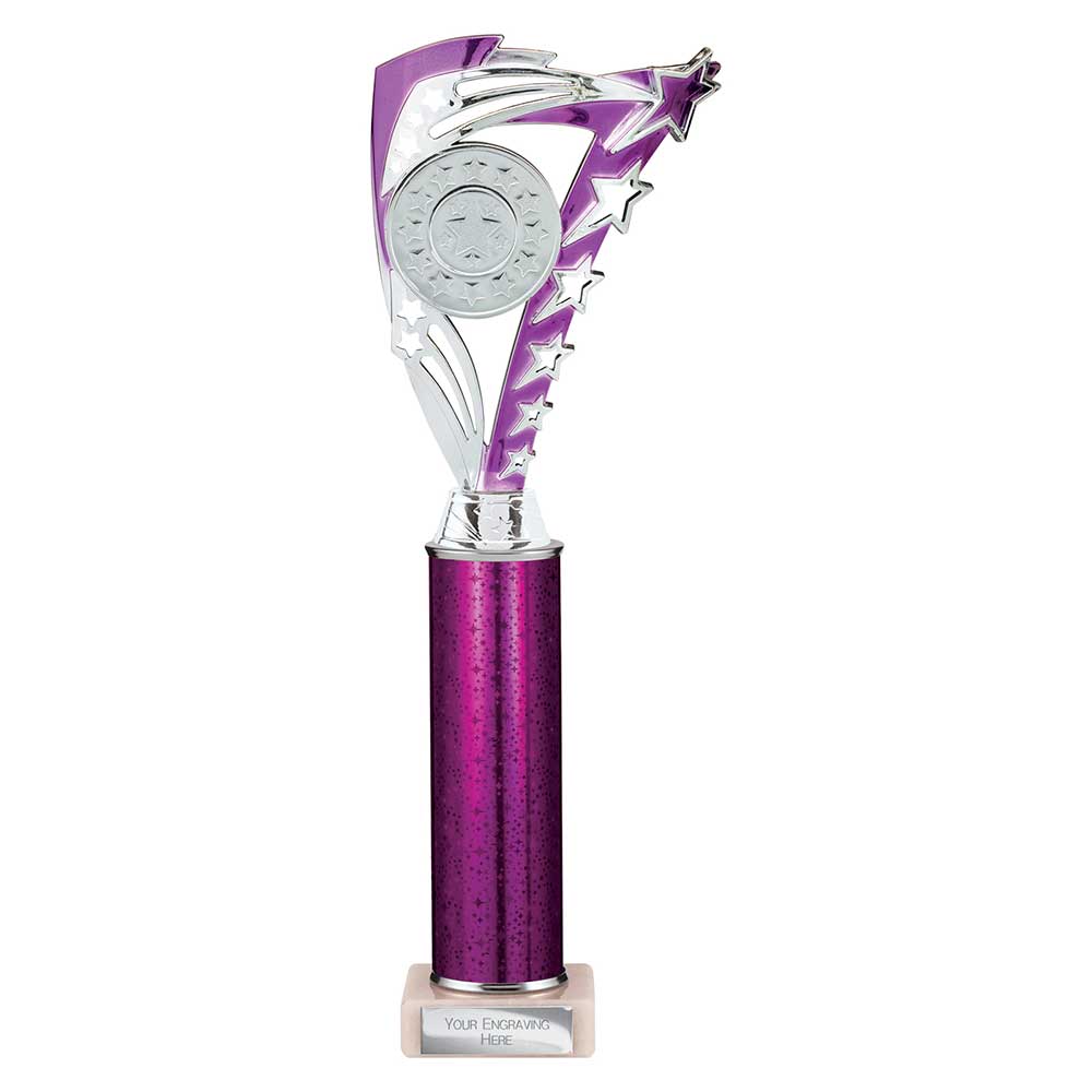 Frenzy Multisport Tube Trophy Silver & Purple 340mm