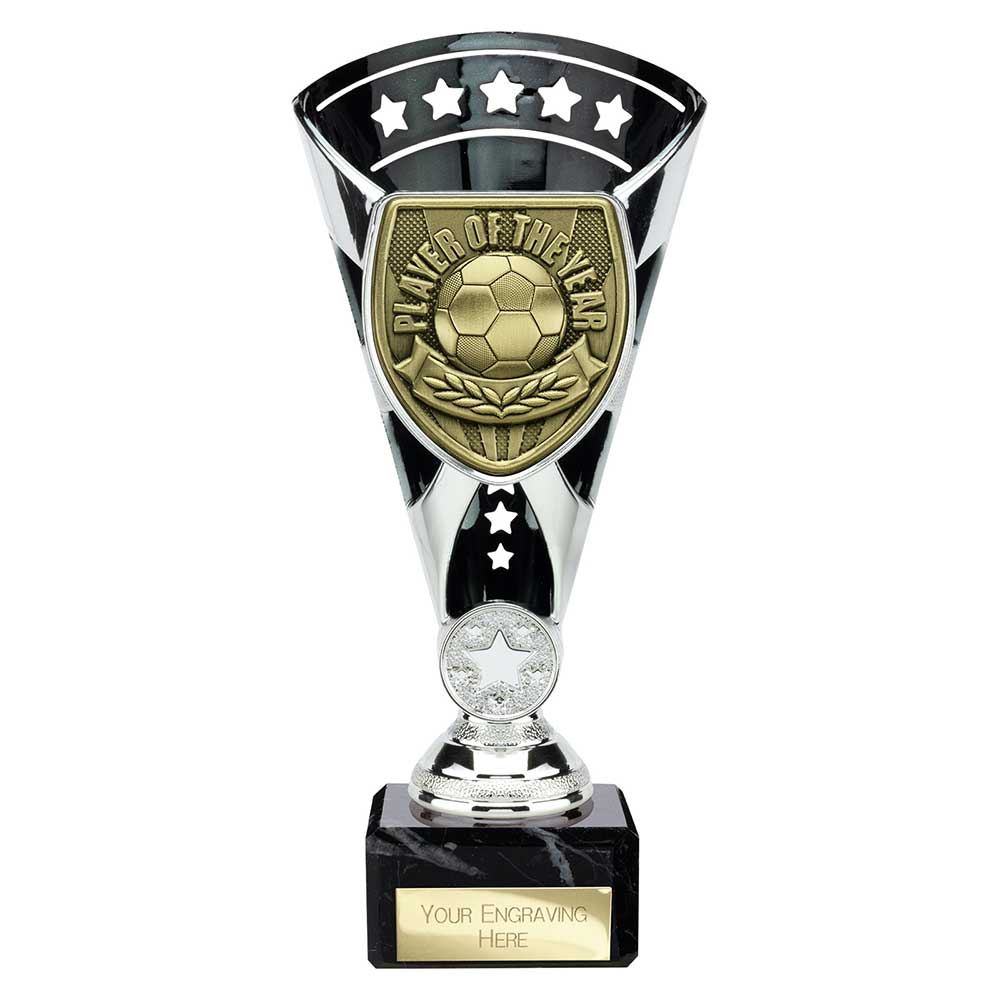 Cobra Star Cup Player of Year Silver & Black 210mm