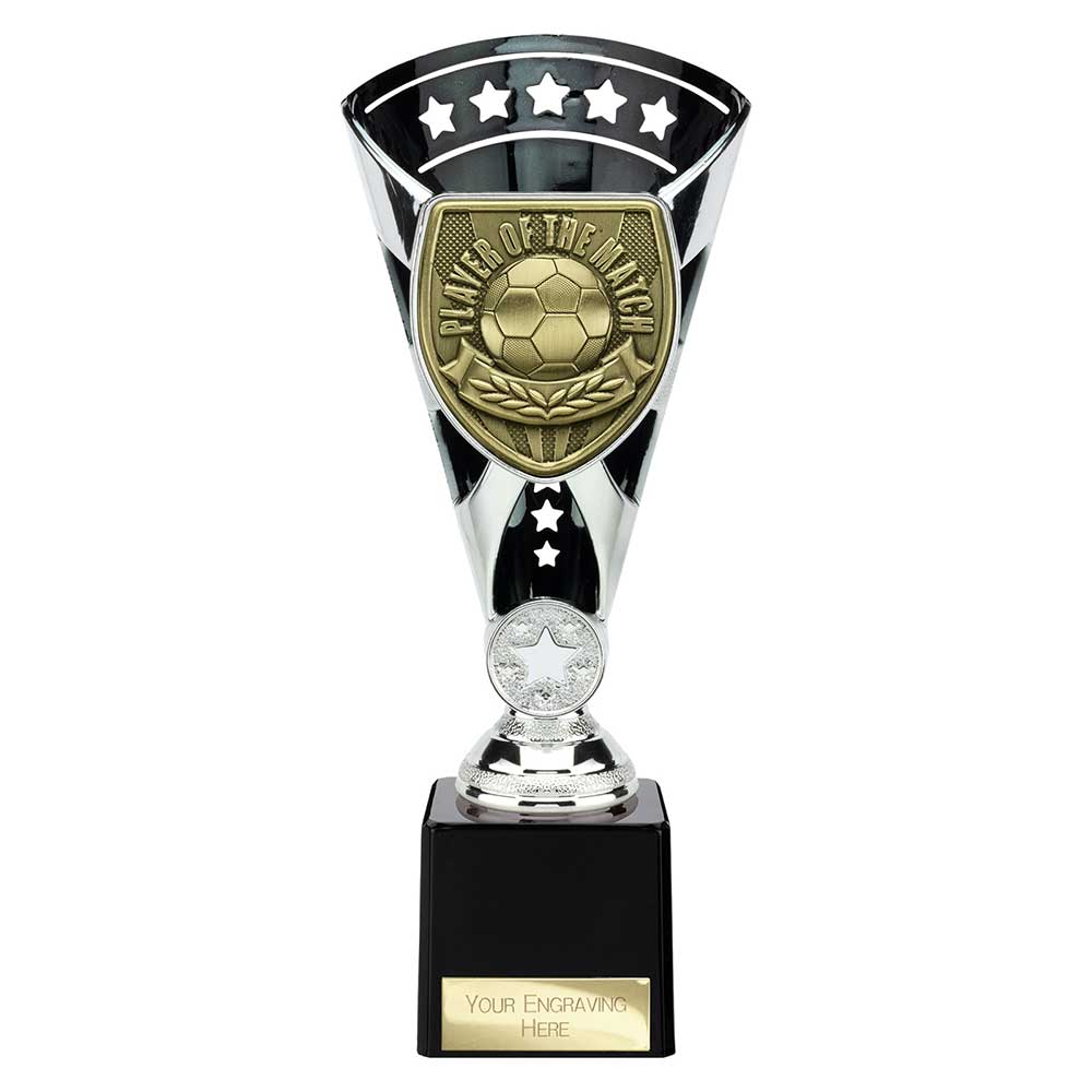 Cobra Star Cup Player of Match Silver & Black 230mm
