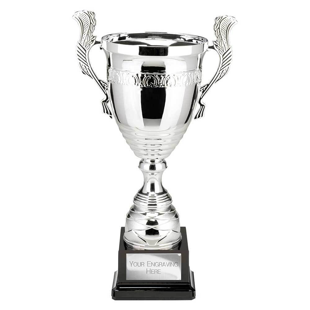 Endeavour Super Cup 485mm