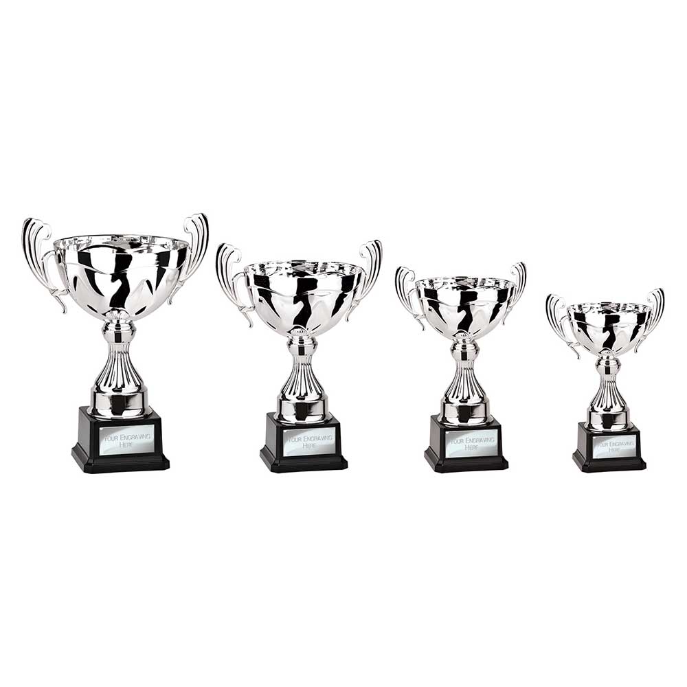 Endeavour Cup Silver 230mm