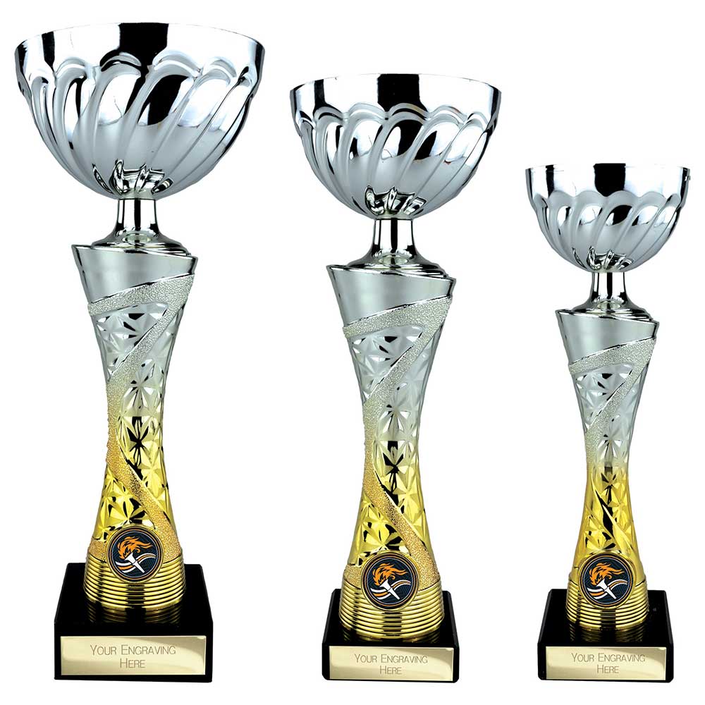 Vigour Trophy Silver & Gold 290mm
