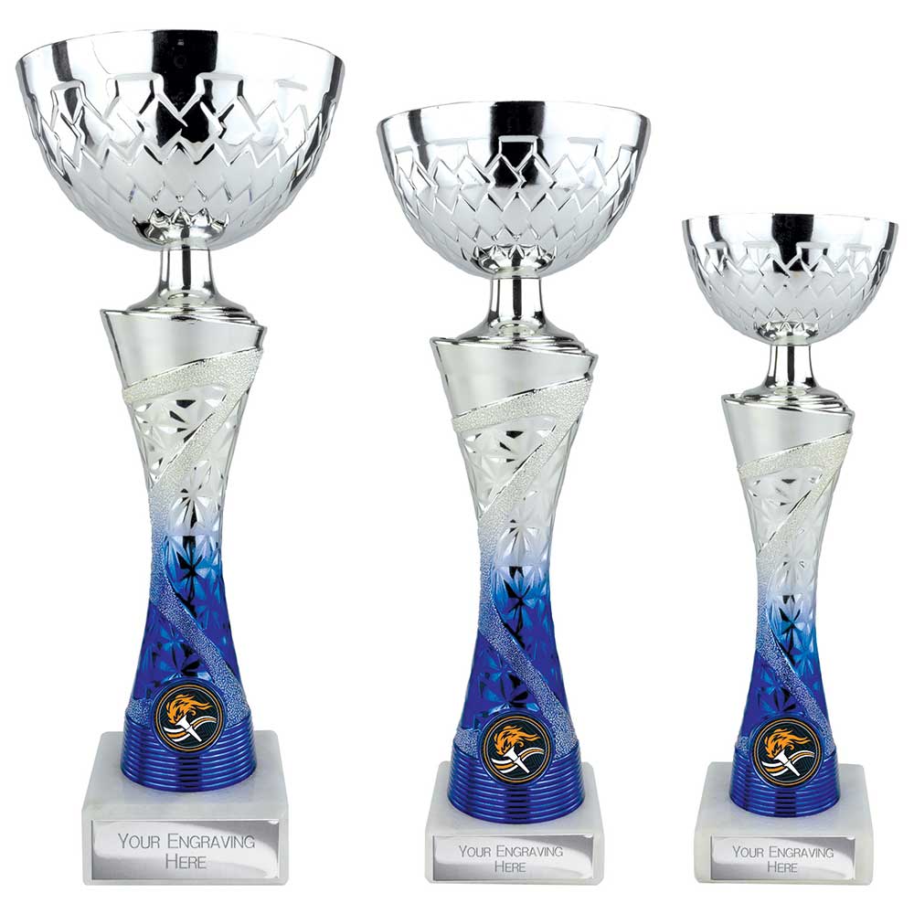 Vigour Trophy Silver & Blue 240mm