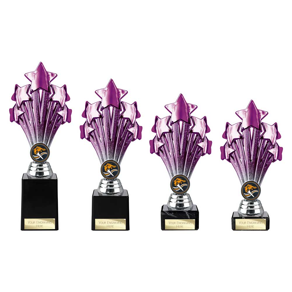 5 Star Trophy Purple and Silver 190mm