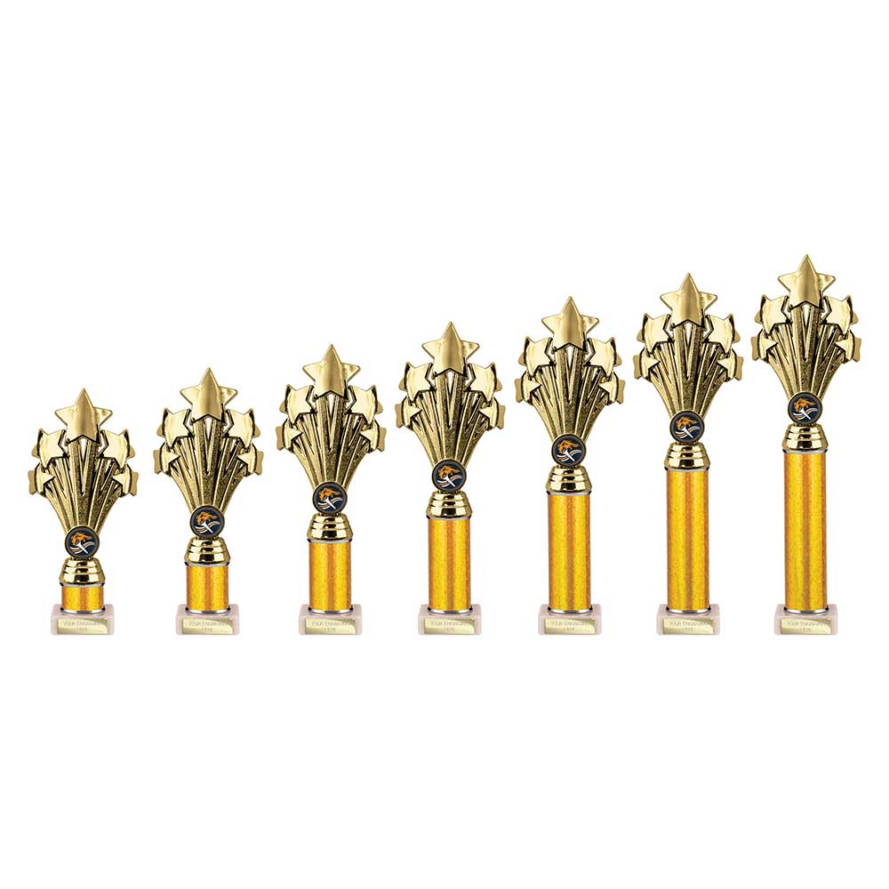 5 Star Multisport Tube Trophy Gold 265mm