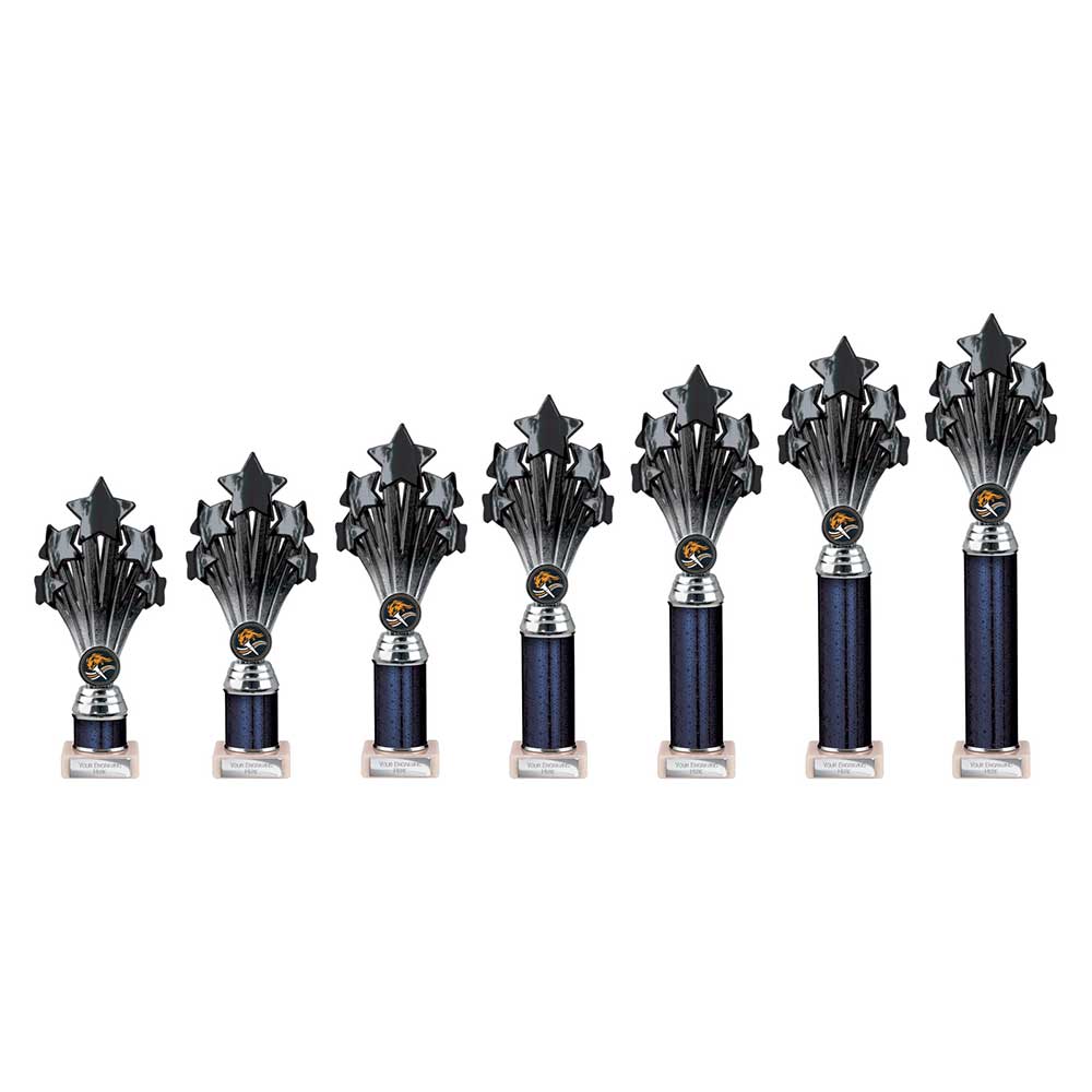 5 Star Multisport Tube Trophy Black & Silver 240mm