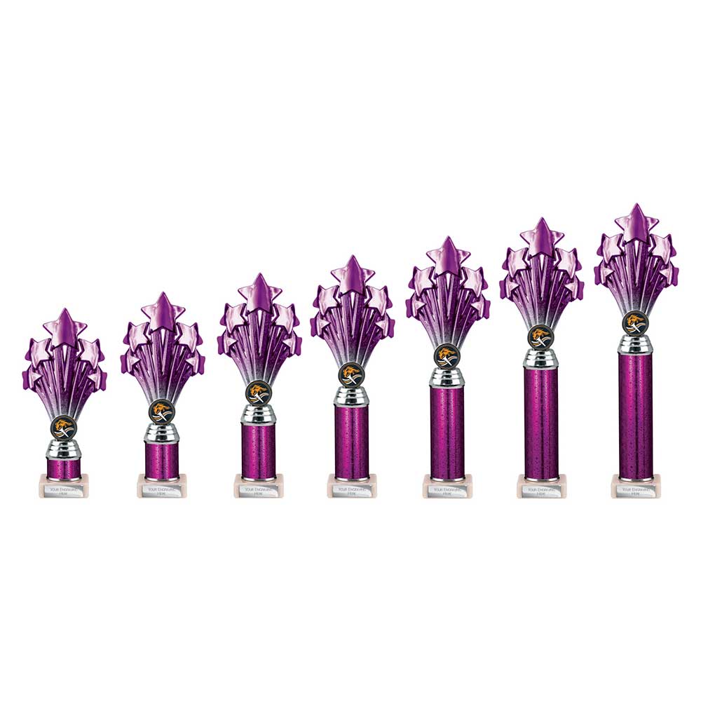 5 Star Multisport Tube Trophy Purple and Silver 240mm