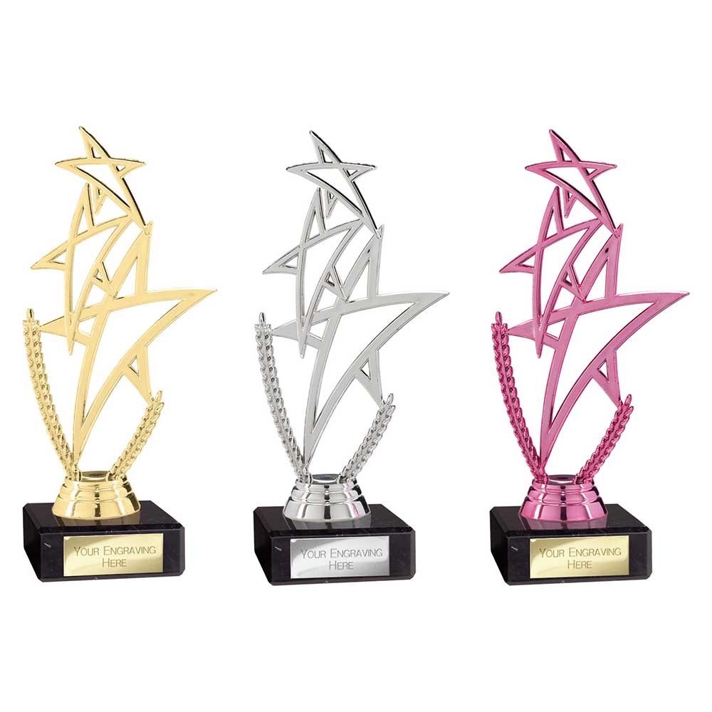 Rising Star Multisport Trophy Silver 180mm