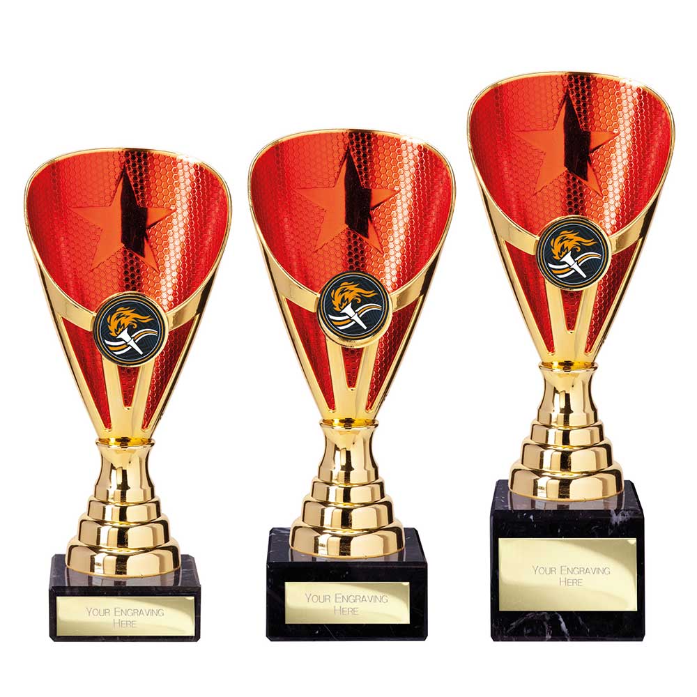 Rising Stars Premium Plastic Trophy Gold & Red 205mm