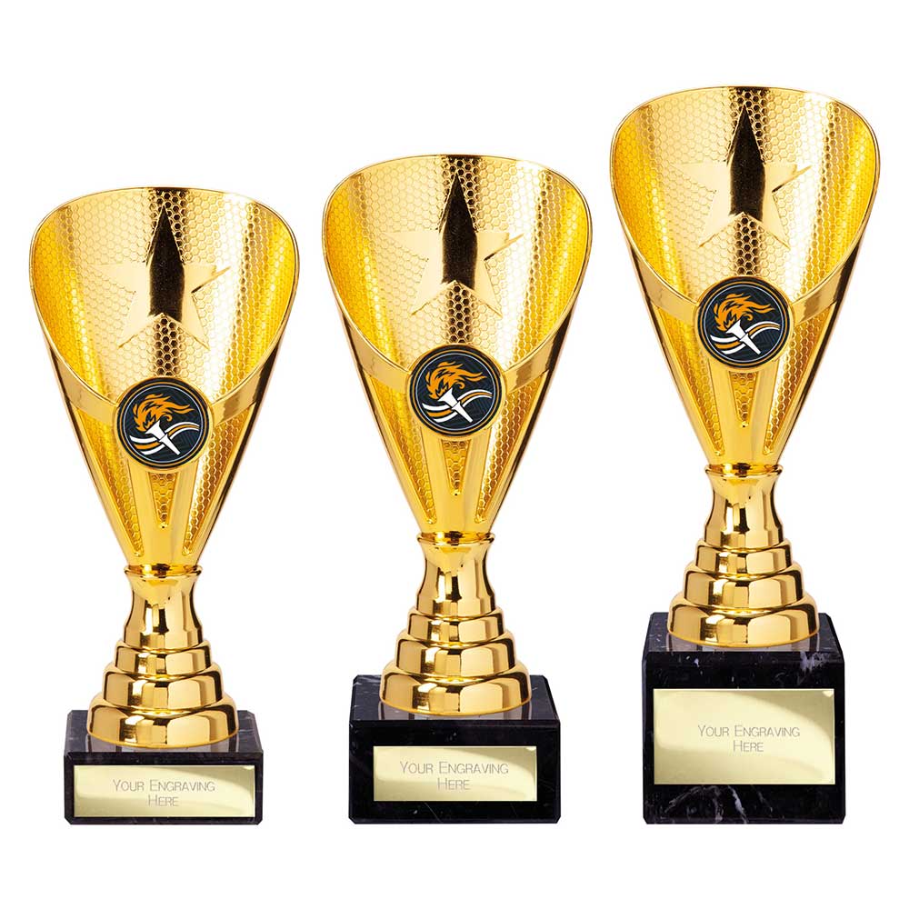 Rising Stars Premium Plastic Trophy Gold 205mm