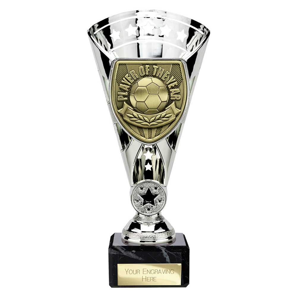 Cobra Star Cup Player of Year Silver 210mm