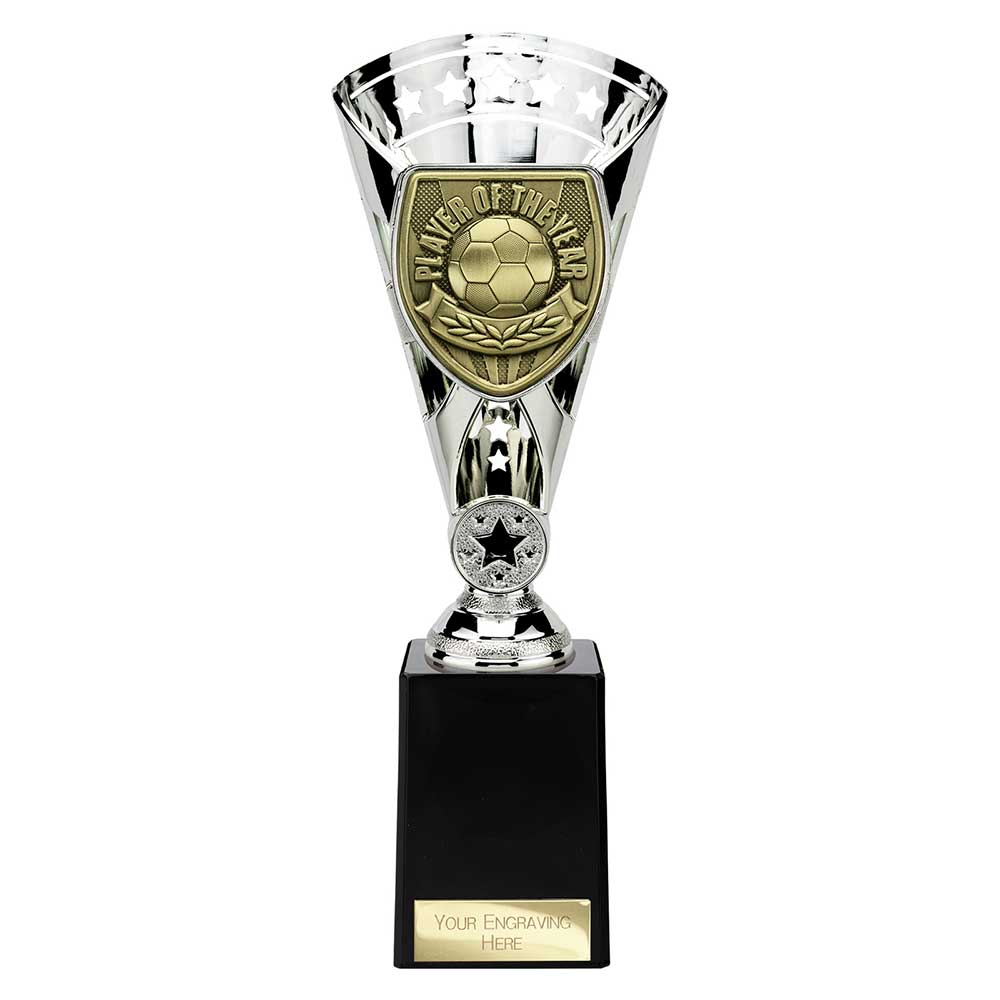 Cobra Star Cup Player of Year Silver 255mm