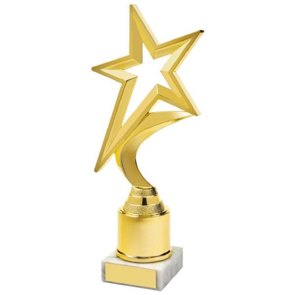 Gold Shooting Star Holder Award